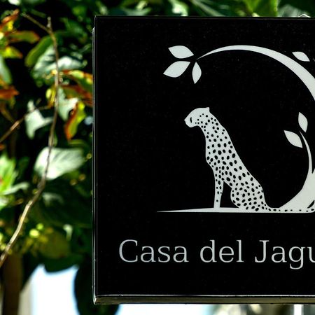 Casa Del Jaguar Beach Hotel Isla Mujeres Exterior foto